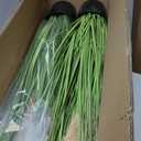 Jexine 4 Pcs Pampas Grass Potted Plants 4 ft Tall Artificial Grass Potted Artificial Greenery Floor Plants Tall in Pot for Housewarming Gift House Garden Bathroom Lobby Outdoor Decoration (Greeny)