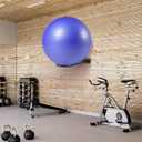Medicine Ball Rack - Wall Mount Stability Ball Storage Rack(1 Black)