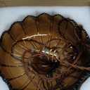 Plug in Pendant Light: Amber Glass Hanging Lamp Plug in, 14.7ft Swag Lamp Cord with On/Off Switch for Kitchen Island/Dining Room/Bedroom/Living Room Hanging Light, No Bulb