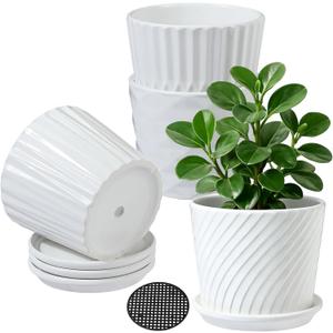 Plant Pots - 5.5 Inch Cylinder Ceramic Planters with Connected Saucer, Pots for Succuelnt and Little Snake Plants, Set of 4, White