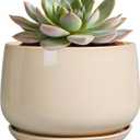 G EPGardening Ceramic Pot for Plants - 6 Inch Planter with Drainage and Ceramic Saucer, Flower Pots for Indoor Plants, Modern Outdoor Planter, Home Decor, Gift for Women Men, Beige