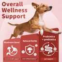 Turkey Tail Mushroom for Dogs, Dog Allergy Chews, Probiotics for Dog Allergy Relief - Itchy Skin Allergy Paw Relief - Seasonal Allergies & Immune Gut Health & Joint, Chicken Flavor - 90 Count