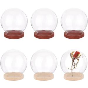 NBEADS 6 Pcs Mini Glass Dome, 1.57" in Diameter Round Glass Display Dome Glass Cloche Dome Clear Glass Display Dome Cover with Wood Base for Centerpieces Plants Rocks Specimens Decorations Crafts
