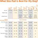 Amazon Basics X-Large Heavy Duty Absorbent Puppy Potty Pads, Leak-Proof, Quick-Dry, Super Absorbent Gel Technology for Dog Training, 28 x 34 Inches, Blue & White, Pack of 50
