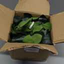 Hisow Hanging Plants Artificial Decor, Fake Hanging Plant in Clay Pot Artificial Hanging Plants with Fake Leaves and Hook for Wall Home Room Indoor Outdoor Décor (Dark Green)