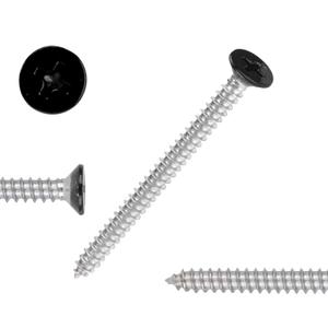 2 x QISHENG Black Head 100 PCS #4x1(1 inch) Stainless Steel Phillips Flat Head Wood Screws,Stainless Steel 18-8 A2(304) Screw