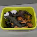 FRUSE Safari Animals Figures Toys, 12PCS Wild Zoo Figurines, Realistic African Jungle Playset With Panda, Lion, Elephant, Educational Learning Toys for Toddlers Kids 3-5