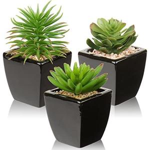 Hollyone Small Succulents Artificial 3 Pcs Faux Succulents in Pots Fake Succulent Plants with Black Ceramic Pots for Modern Home Office Desk Bathroom Shelf Living Room Decor