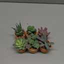 Nubry Mini Fake Plants in Terrine Pots Artificial Small Succulents Potted Faux Assorted Lifelike Plants for Home Office Desk Decor, Set of 6 (Orange Terracotta Pots)