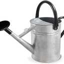 1 Gallon Metal Watering Can with Removable Spout, Nice Galvanized Steel Water Can for Indoor and Outdoor Plants (House Plants)