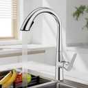 BIKUSOG Kitchen Faucet with Concealed Pull down Sprayer, Swan Art,Imitation Swan Neck Curved Single Handle Brass Kitchen Sink Faucet,Kitchen Sink Faucet Suit for Kitchen Sink, Bar, Laundry, Rv(silver)