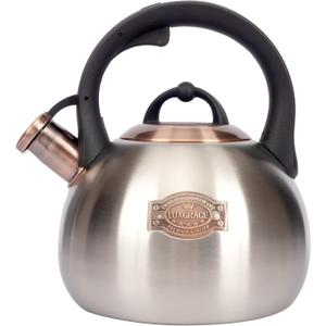 3.1 Quart Teal Whistling Tea Kettle for Stove Top, Food Grade Stainless Steel, Silver
