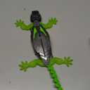 HEX BOTS Wall Crawler Gecko with Official Wall Climber Technology, Rechargeable Remote Control Robot Kids Toys, Prank Toys for Boys & Girls Ages 4 & Up (Gecko Rc (Original))