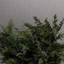 Artgar 6 Ft Christmas Cedar Garland - Realistic Greenery Cypress Garlands - Real Touch Artificial Pine Garland Christmas Decorations for Outdoor Home Dining Table Mantel Stair Porch Winter Xmas Decor