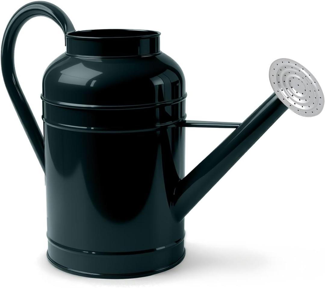 LONGRUN 2.3 Gallon Dark Green Metal Watering Can for Plants and Garden with Removable Spout, Made of Galvanized Iron
