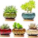 Cute Ceramic Succulent Garden Pots, Planter with Drainage and Attached Saucer, Set of 5 -Plants Not Included (Vivid Colors)