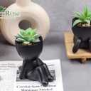 Der Rose Set of 2 Fake Plants Artificial Succulent Plants for Office Desk Accessories Black Bathroom Home Room Aesthetic Decor Indoor