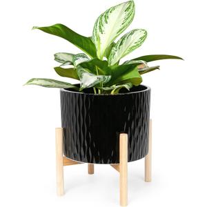 LaDoVita Ceramic Plant Pot with Stand, 10 Inch Planter with Wood Shelf, Modern Round Flower Pots Indoor with Wood Planter Holder, Black Water Ripple Pattern