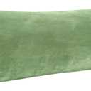 BEDELITE Body Pillow Cover with Zipper Closure, Super Soft and Cozy Fuzzy Fleece Body Pillow Case Cover 20 x 54 Inches, Sage Green