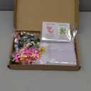 100 Set Employee Appreciation Gifts Bulk for Coworkers Staff - Teacher Appreciation Bulk Resin Gifts for Office Volunteer Staff Thank You Gift Set with Inspirational Note Cards