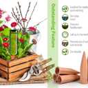 B SEPOR Ceramic Plant Waterer Terracotta Self Watering Spikes for Vacation or Holiday (10Pack)