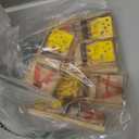 Victor Mouse Traps M035-12, Plastic Pedal, Sustainably Sourced FSC Wood, Wooden Mouse Traps, 12 Pack