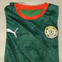Puma Junior Fanpack Jersey (Green, XL)