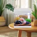 Small Fish Tank,5 Gallon Glass Aquarium Betta Fish Tank Starter Kit with Filter and LED Light.White