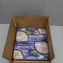 Clorox Scentiva Disinfecting Wet Mopping Pad Refills for Floor Cleaning, Pacific Breeze & Coconut, 48 Count 2 Pack