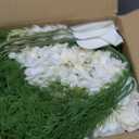 Hotop 72 Pcs White Delphinium Artificial Flowers Bulk for Wedding Decor