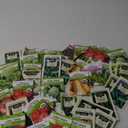 Seeds of Change & Ferry-Morse Organic Mixed Seedlings 50 Pack, BBD 12/24