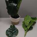 30" Artificial Fiddle Leaf Fig Tree, Realistic Fake Plants Faux Trees Indoor with Cotton Rope Basket, Artificial Plants Indoor for Apartment Home Living Room Office Decor