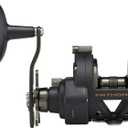 Penn Fathom II Star Drag Conventional Fishing Reel, Black Gold, 25N