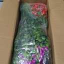 Der Rose 24 Bundles Artificial Flowers Bulk for Outdoors UV Resistant Fake Flowers Spring for Garden Patio Porch Farmhouse Home Window Box DecorColourful