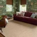 Loloi Chris Loves Julia Henry Collection HEY-01 Beige/Wheat 2'-3" x 3'-9", .50" Pile Height, Runner Rug