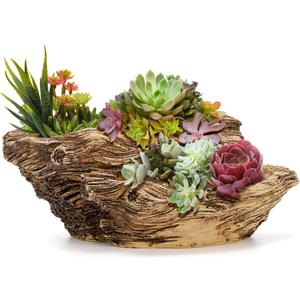 Noamus Artificial Driftwood Planter, Sculpture Resin Succulent Flower Pot, Imitation Wood Pile Porous Bonsai Tree Plant Pot, Decorative Rustic Stump Cactus Container for Garden Indoor