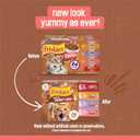Purina Friskies Extra Gravy Wet Cat Food Chunky 24ct Variety Pack (With Chicken, Turkey, Salmon, Beef) - (Pack of 24) 5.5 oz. Cans (EXP 03/01/28)
