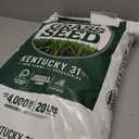 Pennington Kentucky 31 Tall Fescue Grass Seed 20 lbs