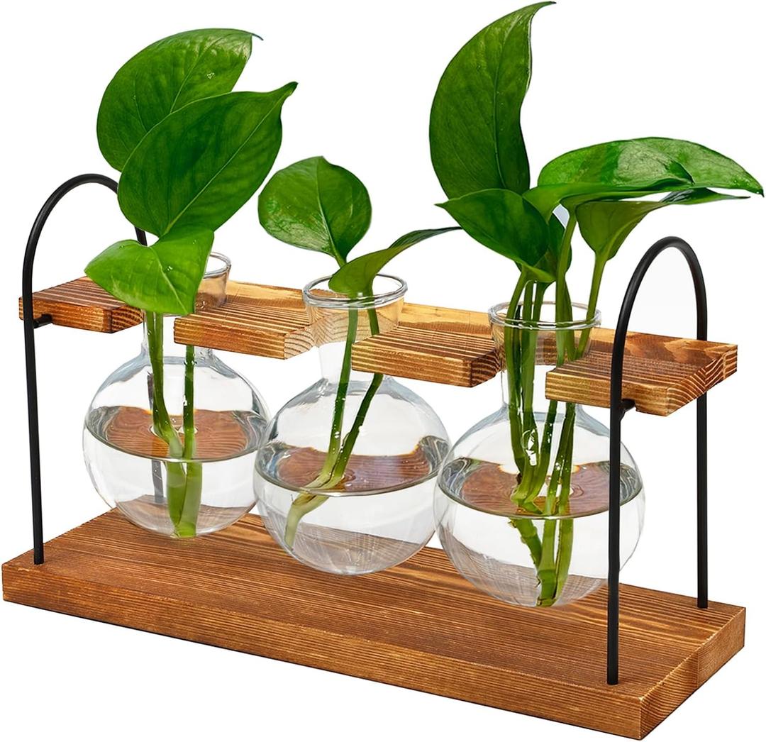 Plant Terrarium with Wooden Stand, The Ultimate Gift for Plant Lovers, Propagation Station with Retro Glass Bulbs, Creating a Stunning Tabletop Display of Hydroponic Greenery in Any Home or Office