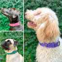Tuff Pupper Classic Heavy Duty Dog Collar | 10x Stronger Than Leather | 100% Waterproof & Odor Proof Dog Collar | Tough Rust-Proof All Metal Hardware, Small