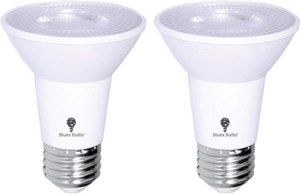 2 Pack PAR20 Outdoor LED Flood Light Bulb 8W 75 Watt Equivalent 500 Lumens Dimmable Waterproof E26 5000K Cool White LED Flood Light Bulbs for Security Led Spotlight Indoor Led Recessed Light Bulbs