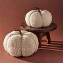 LampLust Plush Pumpkin Decor, Pack of 2, Sand Faux Pumpkins for Table Centerpiece, Neutral Rustic Farmhouse Spring Decor for Shelves, Mantels, Counter and Elegant Home Accent