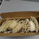 LIYH 150 Pcs Ivory Plastic Cutlery Sets - Ivory Plastic Silverware Heavyduty, Disposable Utensil Sets, 50 of Each Forks, Knives & Spoons Flatware Set for Party Birthday