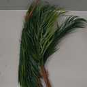 Artificial Palm Plants Leaves Imitation Fake Palm Tree Leaves Decor Greenery Faux Tropical Faux Plants Fronds for Home Garden Hawaiian Party Jungle Party Decor(4 Pieces)