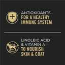 Purina Pro Plan Gravy, High Protein Wet Cat Food Variety Pack, Complete Essentials Chicken and Turkey Favorites - (Pack of 24) 3 oz. Cans (EXP 07/01/27)