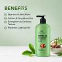 Botanic Hearth Batana Oil Shampoo for Hair Growth & Thickness 16 Fl Oz | Biotin Shampoo | Clarifying for Oily Scalp & Dry Ends | Hydrating for Dry, Frizzy & Curly Hair | Men & Women