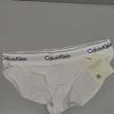 Calvin Klein Women's Modern Cotton Stretch Bikini Panty XS