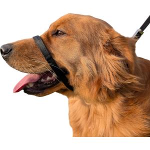PetsProMax No-Pull Dog Headcollar for Large Dogs (Agressive/Reactive Dogs; Instant Stop Pulling; Gentle Training Collar for Dogs; Comfortable, Safe, and Effective Walking/Training Solution (Black, L)