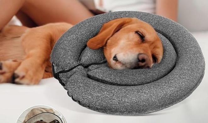 MIDOG Dog Cone, MD-295, Gray, Large