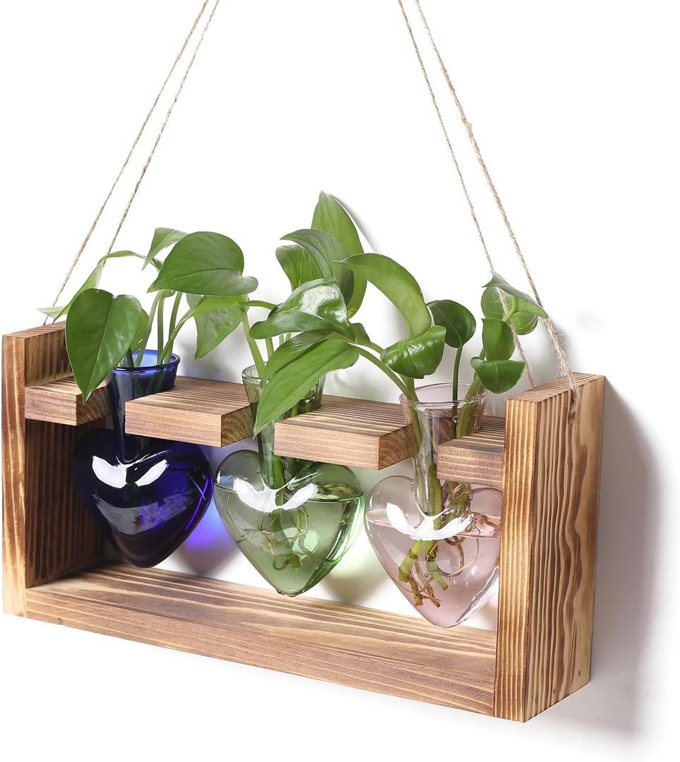 Plant Terrarium Unique Birthday Gift for Women Propagation Stations Home Office Decor Heart Shaped Glass Vase with Wooden Stand